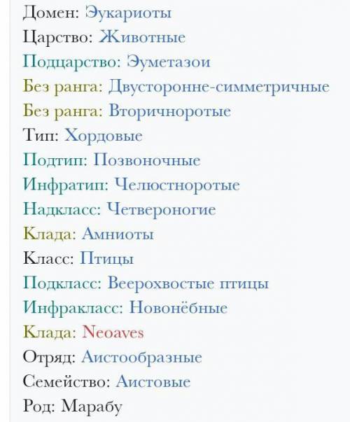 В какой природной зоне обитает птица марабу?