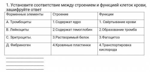 Установите соответствие между строением и функцией клеток крови, зашифруйте ответ Форменные элементы