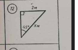 Угол равен 45 градусов. Сторона равна 2 м, x неизвестен. Чему равен x?