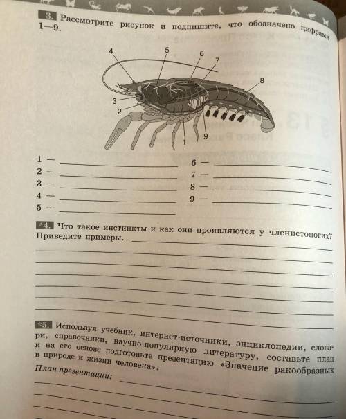 Тема урока Тип Членистоногие. Класс Ракообразнные. Изучите п.13 и выполните задания, выше