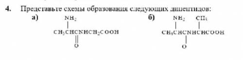 Напишите схемы образования дипептидов. Заранее благодарю!