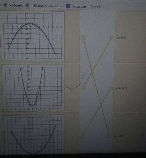 -5 -5-31467y=34220y=1/2x^2S-55-21234557y=2x^2​