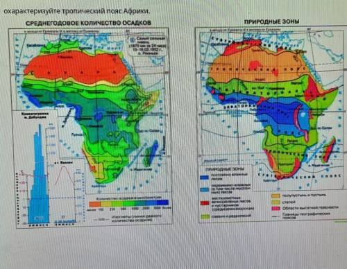 Охарактеризуйте тропический пояс Африки​