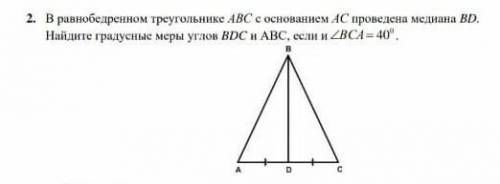 В равнобедренном треугольнике ABC с основанием AC проведена медиана BD. найдите градусные меры углов