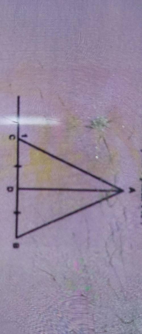 3. В равнобедренном треугольнике CAB с основанием CB проведена медиана АD. Найдите градусаые меры уг