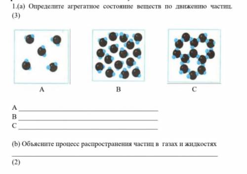 Определите агрегатное состояние веществ по движению частиц. (Естествознание)