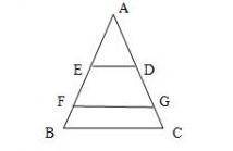Дано треугольник АВС стороны DE и FG параллельны стороне ВС. Если стороны DE=6 см FG=12 см FB=4 см и