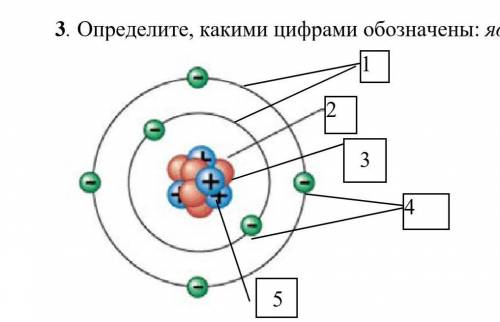 3. Определите, какими цифрами обозначены: ядро, электроны, протоны, нейтроны, электронные оболочки​