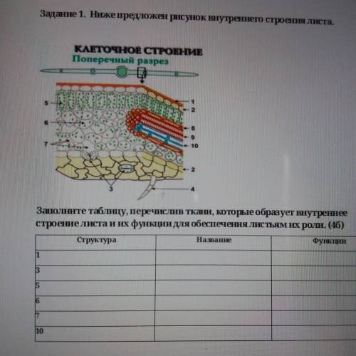 Определите и обьюсните особенности слова атносферы аммм:еее​