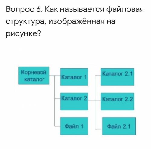 Как называется файловая структура, изображенная на рисунке