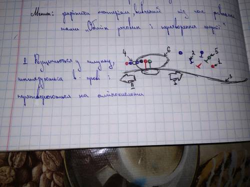 СКЛАДАННЯ СХЕМ ОБМІНУ ВУГЛЕВОДІВ, ЛІПІДІВ І БІЛКІВ В ОРГАНІЗМІ ЛЮДИНИ Дам 100, якщо повністю зробите