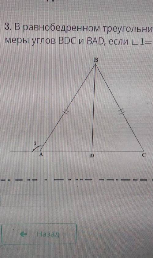 B равнобедренном треугольнике ABC с основанием AC проведена биссектриса BD.Найдите градусные меры уг