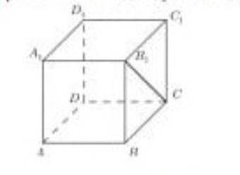 В кубе АВСД А1 В1 С1 Д1 ребро равно 1 см. Найдите угол между примыми АА1 и В1С​