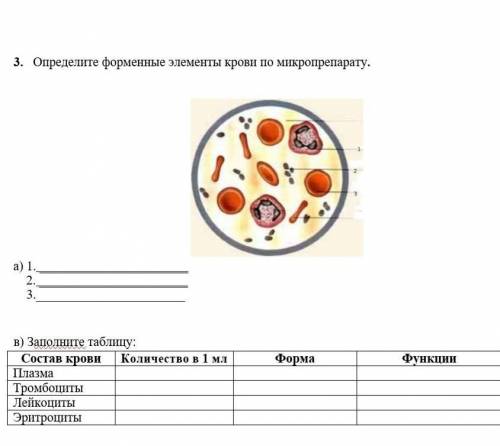 1.      Определите форменные элементы крови по микропрепарату.   ￼а) 1.     2.     3.               