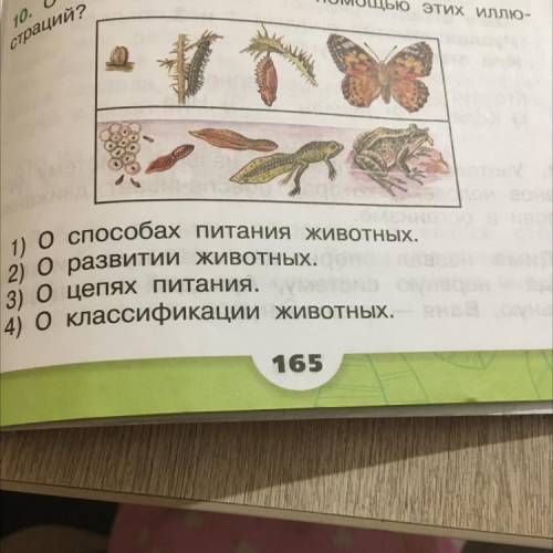 Очем узнать с этих иллю- страций? 1) о питания животных. 2) о развитии животных. 3) о цепях питания.