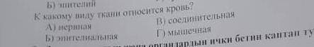 к какому тканю относится кровь человека ? а гладкая ткань б? эпетилиальная ткань б ) поперечно полос