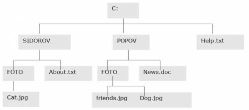 №18 Дана иерархическая файловая структура (см. рис.) Запишите полные имена текстовых файлов данной с