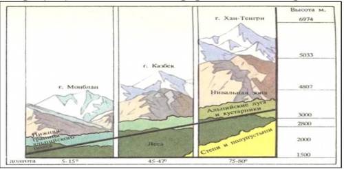 Определите по рисунку 1, как сменяются природные зоны в горах. Рисунок 1. Положение высотных поясов