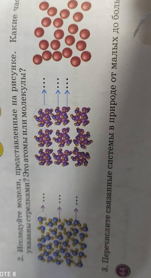 Исследуйте модели , представленные на рисунке . Какие частицы указаны стрелками ? Это атомы или моле