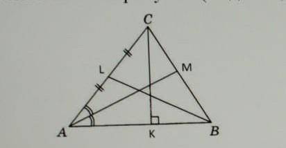 на рисунке изображен треугольник MNK укажите названия следующих элементов (медиана,бесектриса,высота
