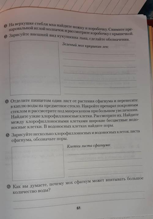 Лабараторная номер 5 по биологии 7 класс Строение Кукушкина льна и сфагнума сделать главное правил