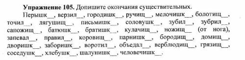 Русский язык. Упражнение 105, 101, 111.