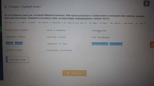 ты стал первым туристом который побывал в космосе тебе нужно рассказать о своем полете описывая свои