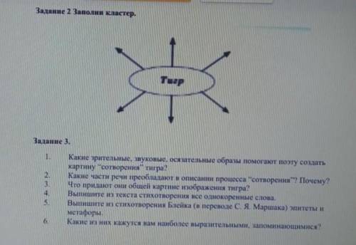 ПО СТИХОТВОРЕНИЮ У. БЛЕЙКА ТИГР2 И 3 ЗАДАНИЯОЧЕНЬ НУЖНО​​