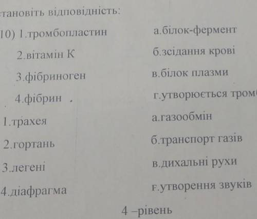 Установіть відповідність​