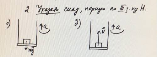 Доказать силу парную по 3 закону ньютона Все сделать не письменно а нарисовать На картинки лифт