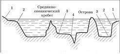 На схеме изображен профиль рельефа океанического дна. Ниже подпишите, что обозначает каждая цифра. Н