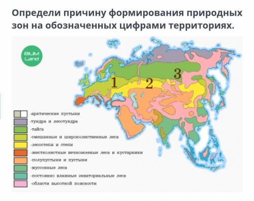 Определи причину формирования природных зон на обозначенных цифрами территориях Верных ответов: 4 ра