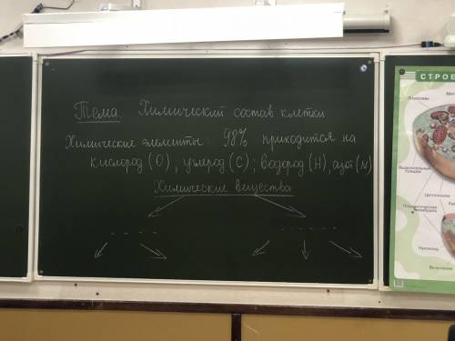 заполнить таблицу по биологии , порагроф 7 . Класс 5 . Буду очень благодарна ❤️