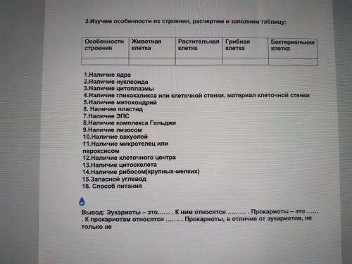 Дайте ответ дам,ответы которые не подходят к вопросу буду удалять,и банить