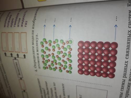 4.Определите модели изображенных атомов и молекул
