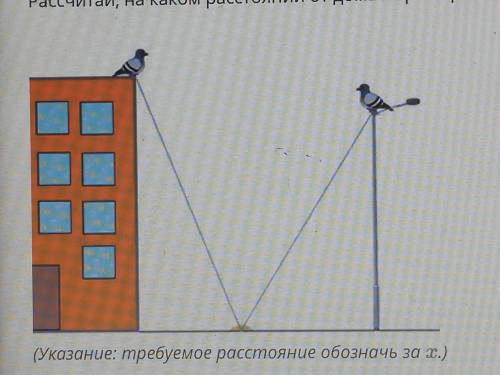 надо! На крыше дома и на фонарном столбе сидит по одному голубую. Лариса недалеко от дома рассыпала