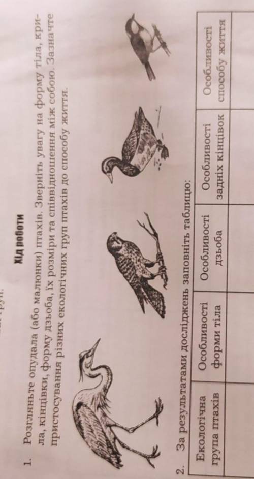 Биология 7 класс практическая номер 2 В выводе написать, как именно эти особенности тела птицам при