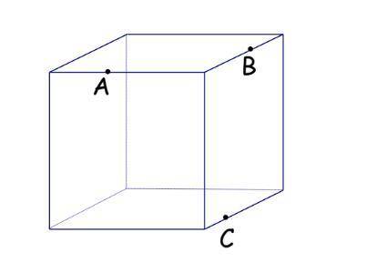 Описать построение сечения куба по трем точкам.
