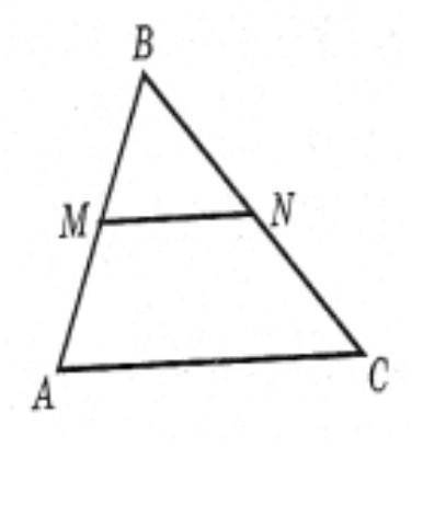 На рисунку МN || AC. Знайти AM, якщо AB=6см,MN=4см,AC=12см​