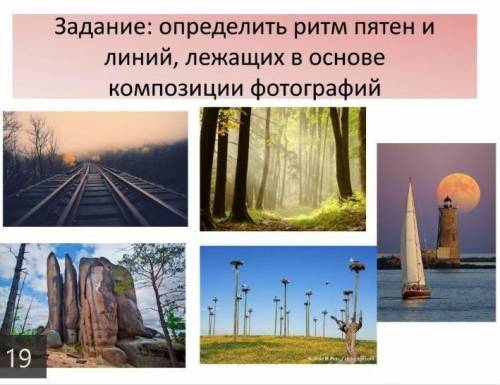 Определите ритм пятен и линий на фотографиях ​