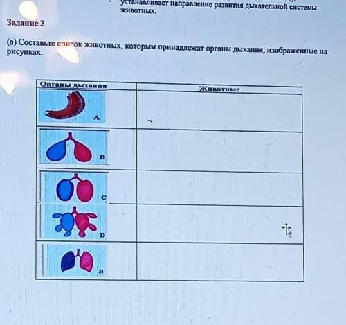 (а) Составьте список животных, которым принадлежат органы дыхания, изображенные на рисунках. ​