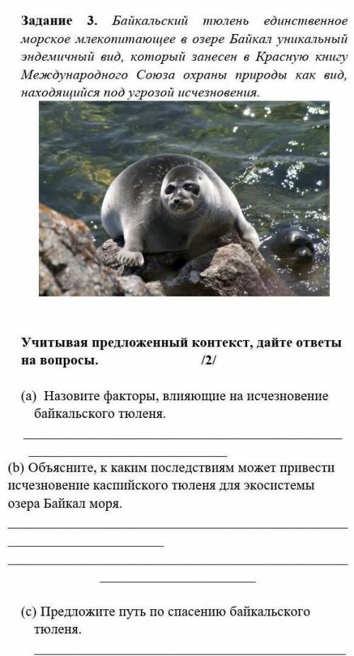 Задание 3. Байкальский тюлень единственное морское млекопитающее в озере Байкал уникальный эндемичны