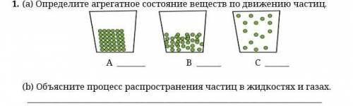 1. (a) Определите агрегатное состояние веществ по движению частиц. A B C (b) Объясните процесс рас