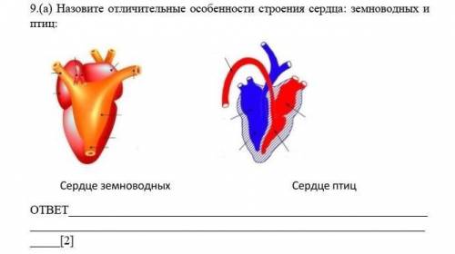 ДАЙТЕ ОТВЕТ НА вопрос ​