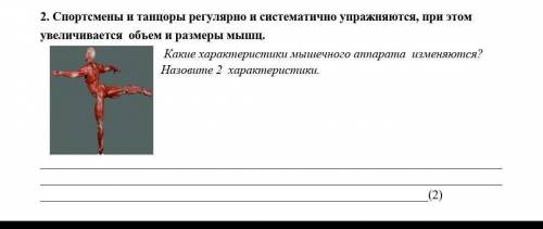 Какие характеристики мышечного аппарата изменяются?Назовите 2 характеристики