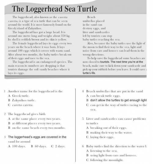 1 Another name for the loggerhead is the A Greck turtle. B Zakynthos turtle C caretta caretta 2 The