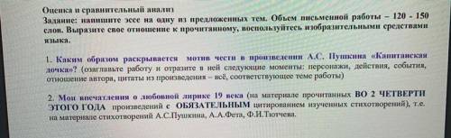 Оценка и сравнительный анализ Задание: напишите эссе на одну из предложенных тем. Объем письменной р