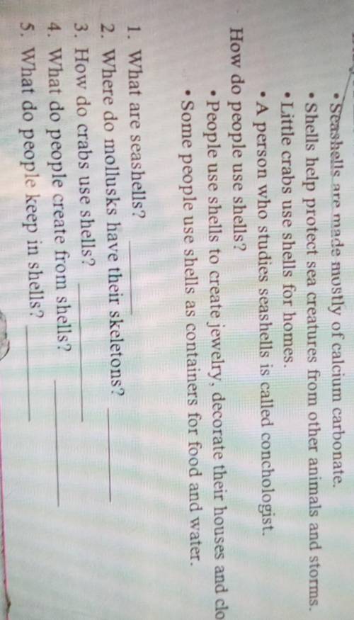 1. What are seashells? 2. Where do mollusks have their skeletons?3. How do crabs use shells?4. What