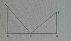 ABC и CED заданы треугольники, AB=8 BC=4 CD=4.5 найдите ED