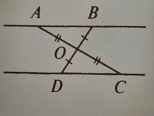 Докажите параллельность прямых AB и DC?​